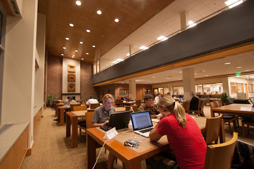 Mikkelsen Library - Thumbnail