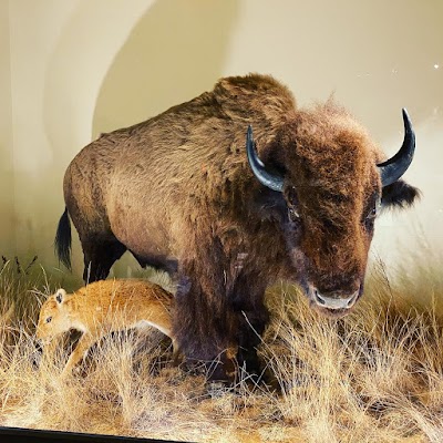 Anniston Museum of Natural History