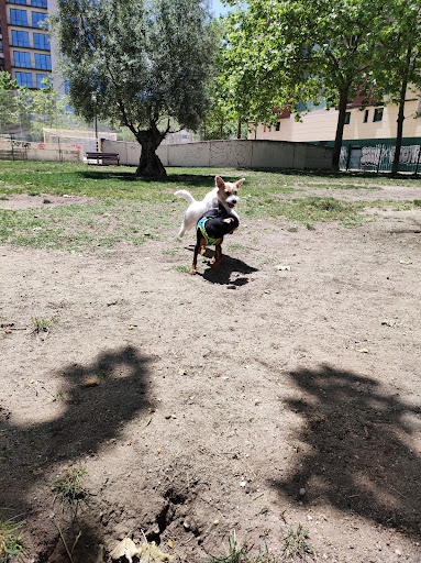canino Parquesol Alto Park