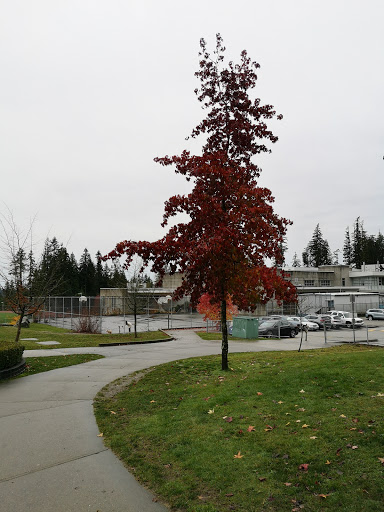 North Shore Community Park - Thumbnail