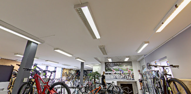 Avis sur Bicycle Rapp Benjamin Rapp à Strasbourg - Magasin de vélos