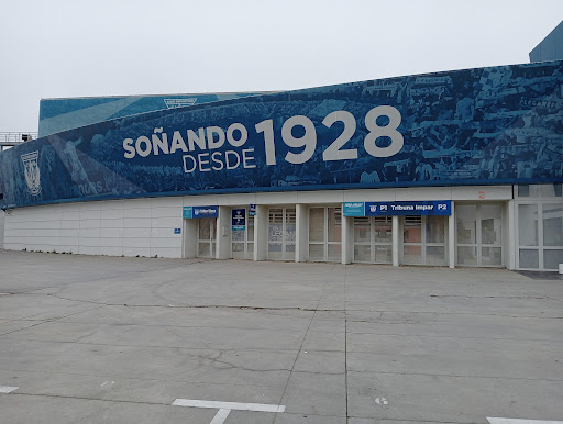 C.D. Leganés - Visual