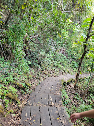 Waikamoi Nature Trailhead and Parking Area Gallery - United States