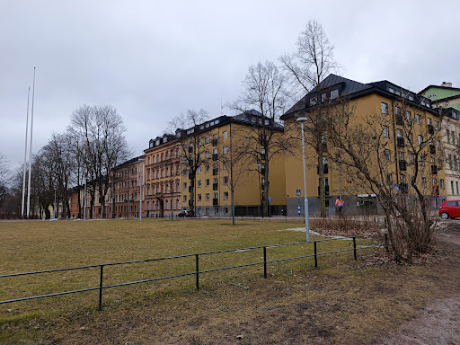 Katedralskolan - Visual
