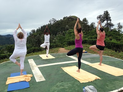 Photos of Ella yoga hut