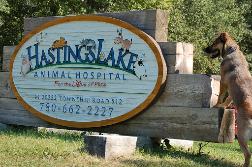 Hastings Lake Animal Hospital - Canada