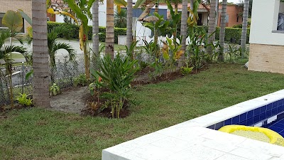Photos of ORGANICOS PARA EL AMBIENTE OPA