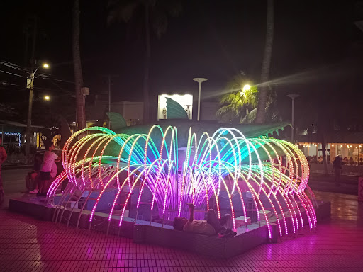 La Barracuda - Visual