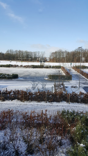 Kings Hill Sports Park - Thumbnail