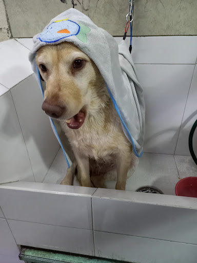 Veterinaria Emm Ross