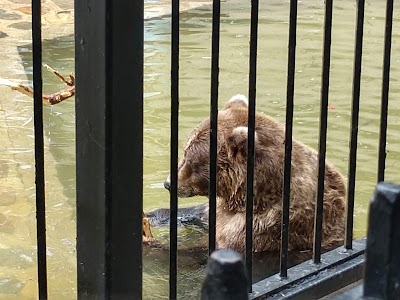 Roosevelt Park Zoo Office