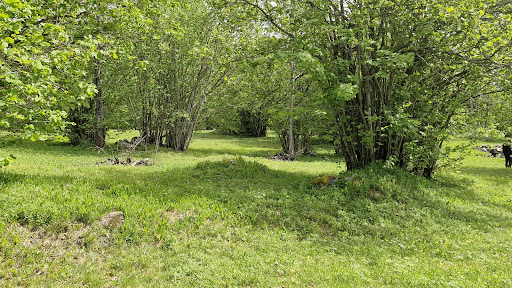 Hässlen - Visual