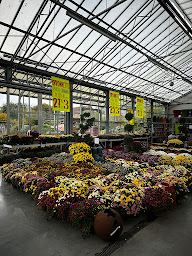 Photo n°40 de GAMM VERT à Doullens (Pépinière)