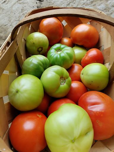SaintParis FarmersMarket Gallery - United States