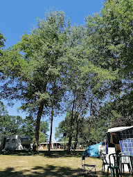 Photo n°11 de ASSOCIATION NATURISTE MAYENNE NATURE à Soulgé-sur-Ouette (Parc naturiste)