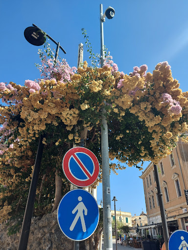 Valentour - Visual