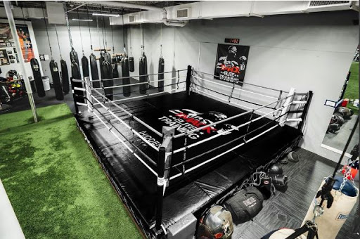 TMack Elite Training - Visual