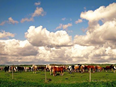 Photos of Faith Ranch