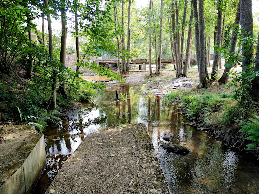 Domaine Provincial de Mirwart - Thumbnail