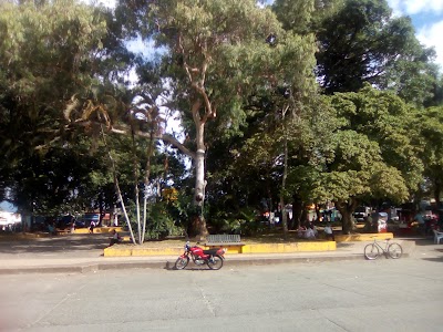 Photos of Luis Arango Cardona (Plaza Nueva) Park