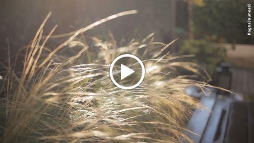 Photo de ARFI Paysagiste Pisciniste 94 à Limeil-Brévannes (94450)