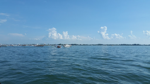 Saint Clair Flats State Wildlife Area Gallery - United States