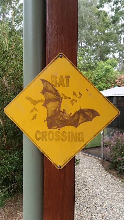Photos of Bat Hospital