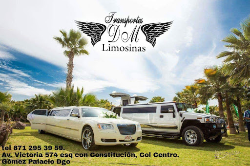 Dm Limosinas - Visual