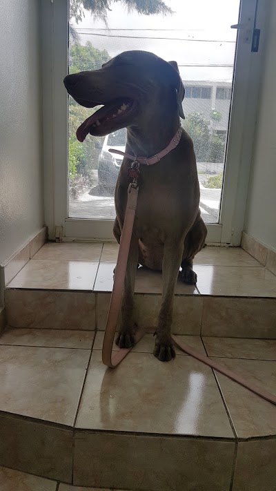 Photos of Pet Hospital