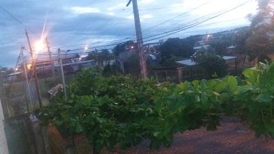 Photos of Barrio Juan Montalvo