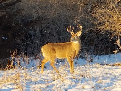 Lake Manawa State Park