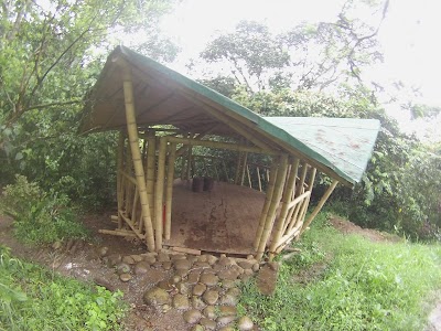 Photos of Gallito de Roca Preserve