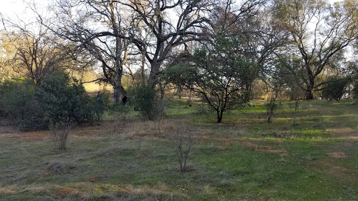 Charles Howard Park - Thumbnail