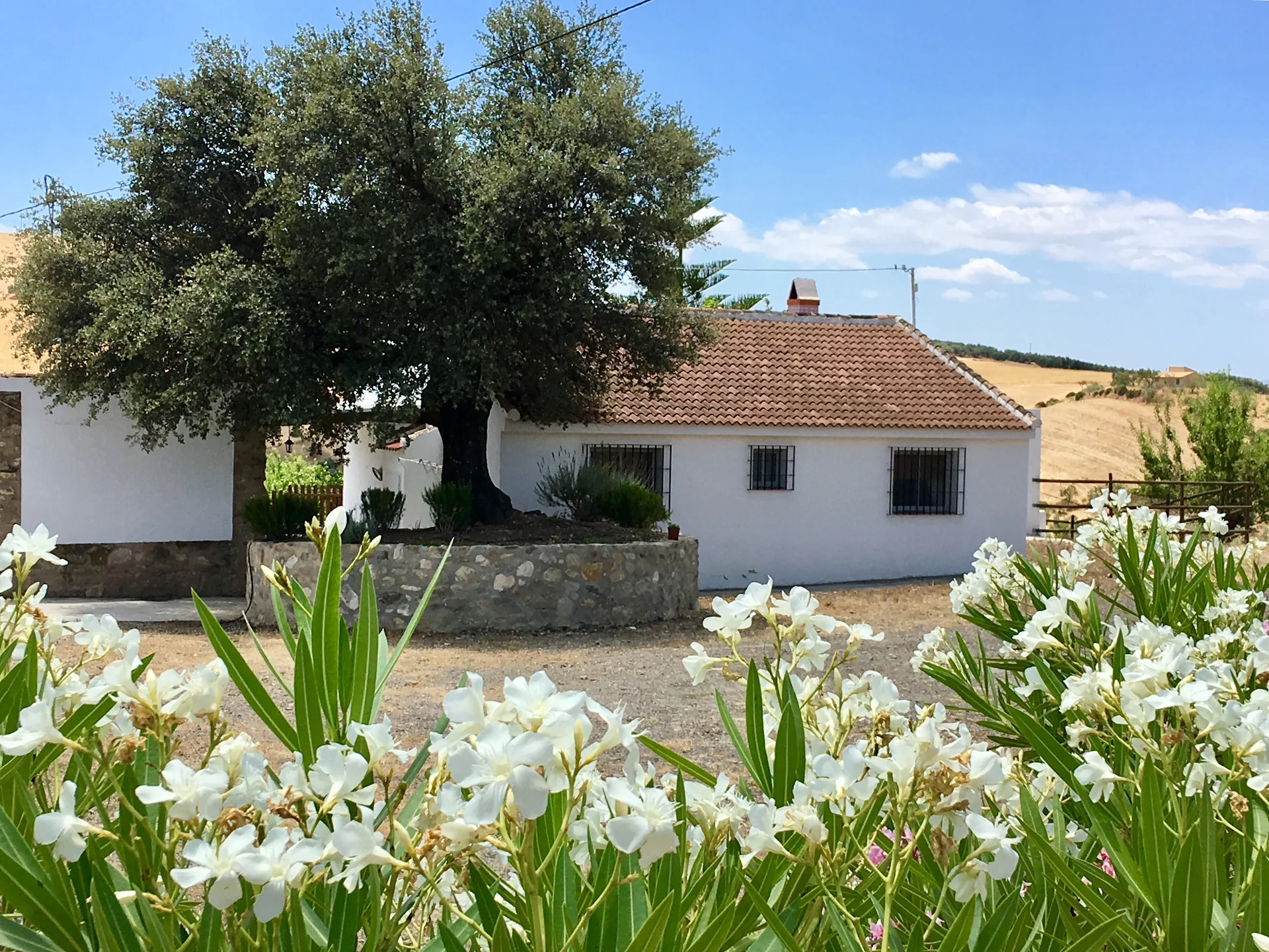 Casa Rural El Naranjo