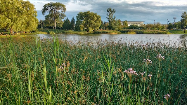 Parc Jarry