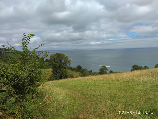 Watcombe Cliffs - Visual