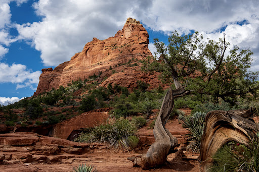 Soldiers Pass Trail - Thumbnail