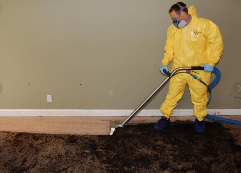 Total Quality Building Services photo