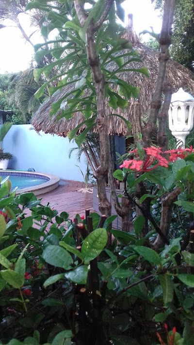 Photos of Caribbean Flower Appartementen