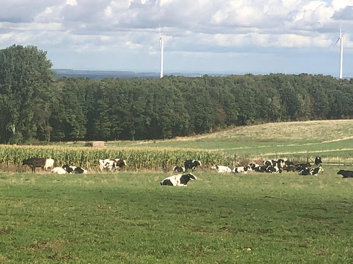Milchbude - Thumbnail