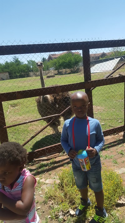 Photos of Bloemfontein Zoo