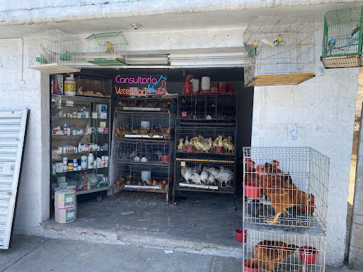 Veterinaria y Forrajeria "La Golondrina”