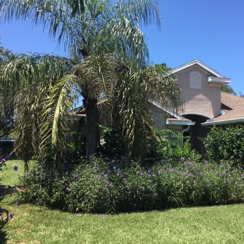 Burysek Tree Service