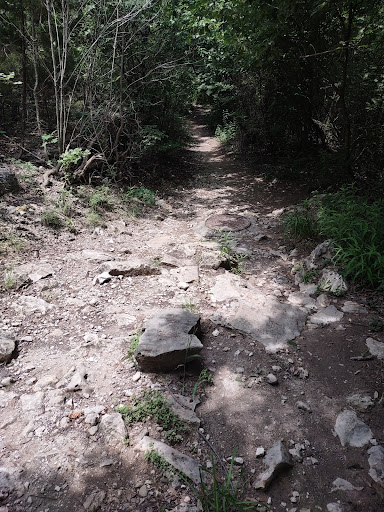 Orion Falls - Visual