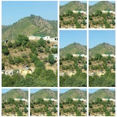 PIDC abbottabad