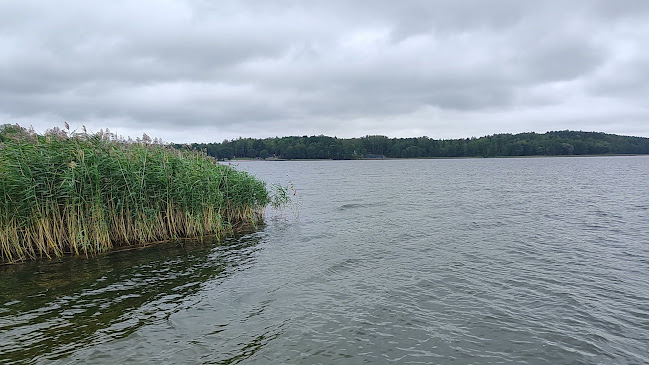 Opinie o Camping Kikity w Olsztyn - Pole kempingowe