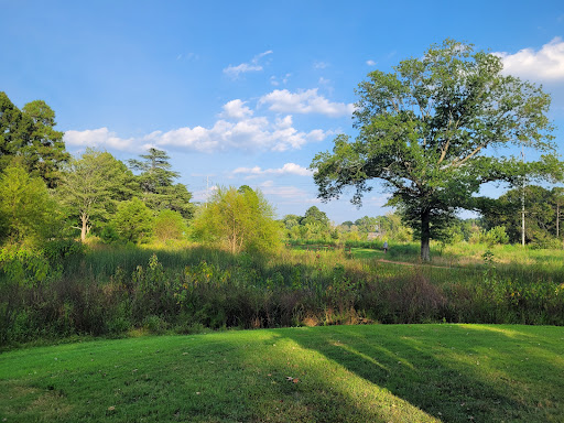 Chantilly Park - Thumbnail