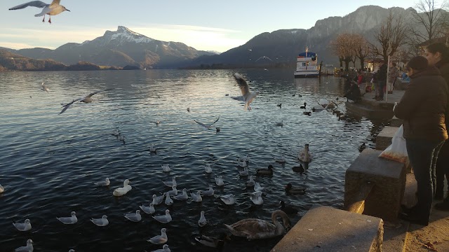 Mondsee
