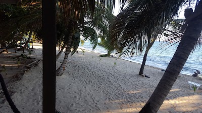 Photos of Jungle Jeanie's By The Sea