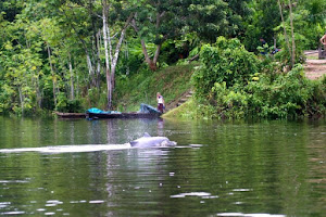 Amazon Reise Eco-Lodge 5